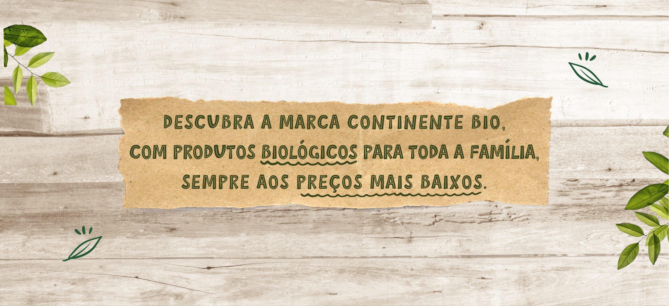 Secção visual com textura de madeira e papel reciclado, apresentando o texto “Descubra a marca Continente Bio”, com ilustrações de folhas e estilo rústico.