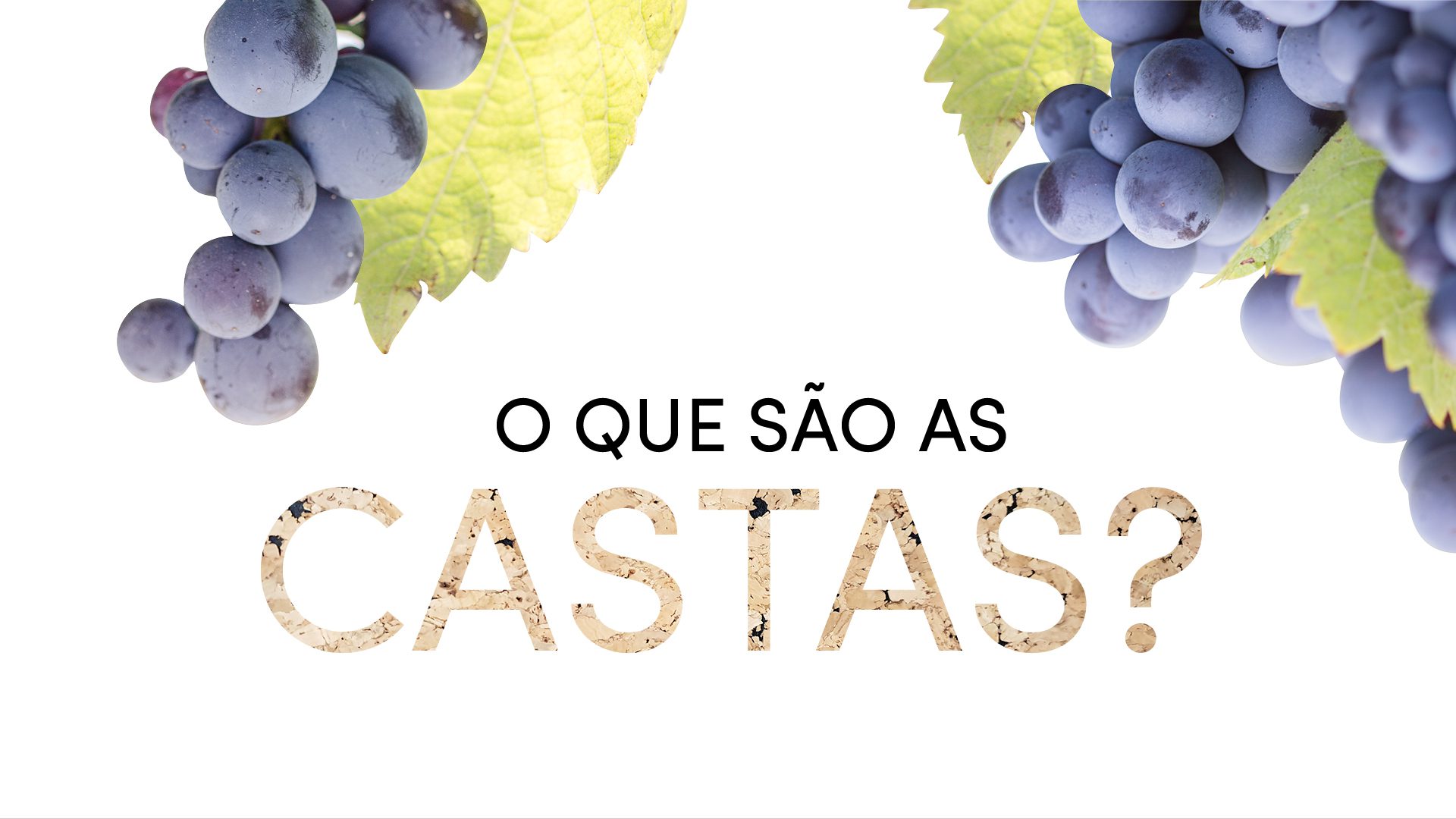 Image featuring grape clusters and the title “What are grape varieties?”, introducing the topic of Portugal’s native grapes.