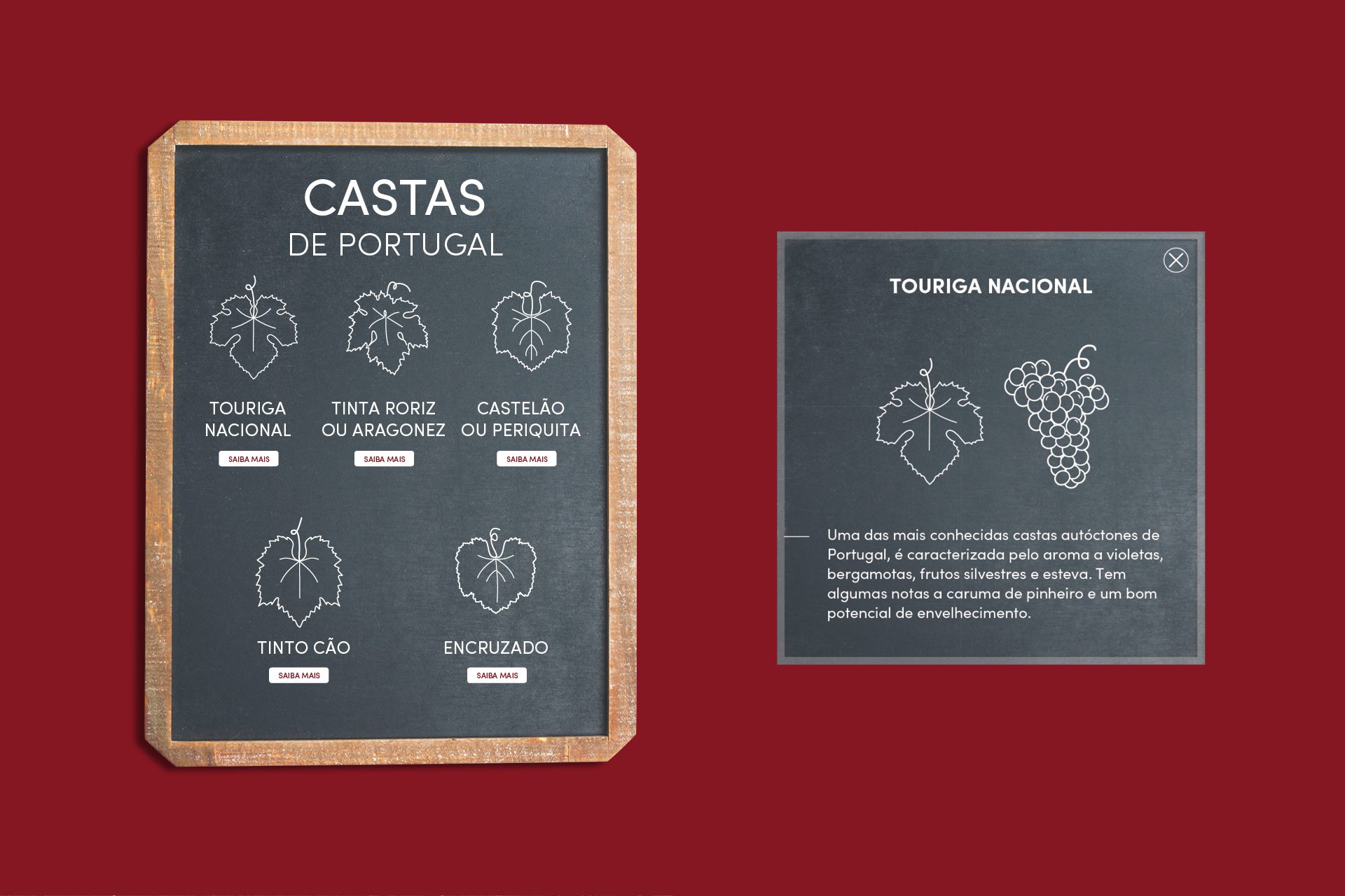 Informative panel on “Grape Varieties of Portugal” with leaf and grape illustrations on a red background, paired with a “Touriga Nacional” popup.